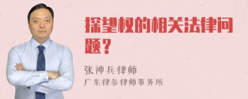 探望权的相关法律问题？