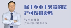 属于不小于欠款的房产可以拍卖吗