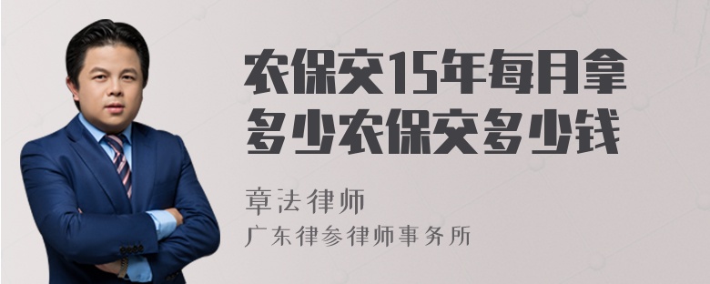 农保交15年每月拿多少农保交多少钱