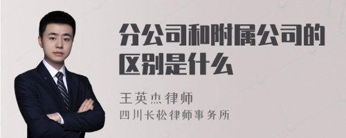 分公司和附属公司的区别是什么