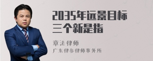 2035年远景目标三个新是指