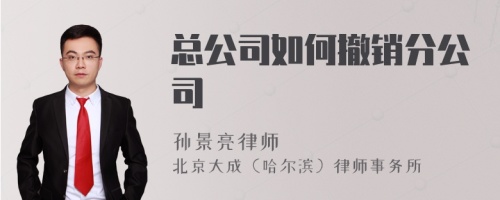 总公司如何撤销分公司