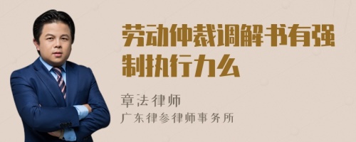 劳动仲裁调解书有强制执行力么