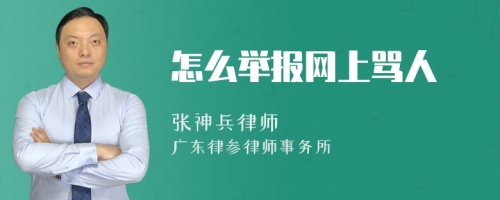 怎么举报网上骂人