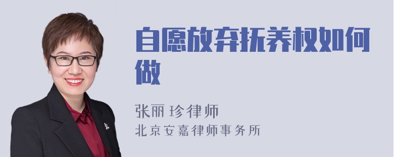 自愿放弃抚养权如何做