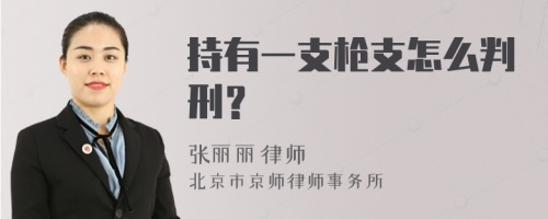 持有一支枪支怎么判刑？