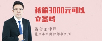 被偷3000元可以立案吗