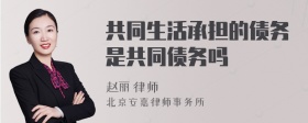 共同生活承担的债务是共同债务吗