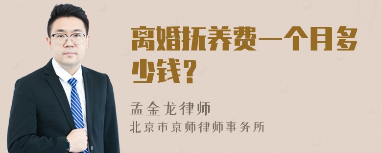 离婚抚养费一个月多少钱？