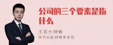 公司的三个要素是指什么