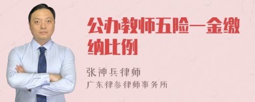 公办教师五险一金缴纳比例