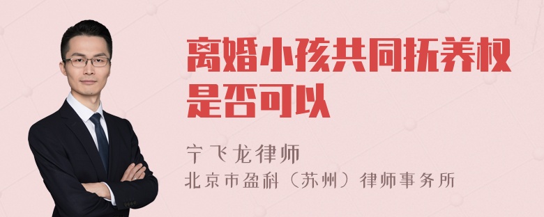 离婚小孩共同抚养权是否可以