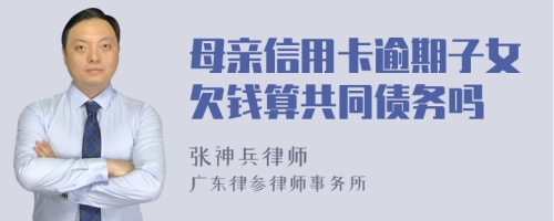 母亲信用卡逾期子女欠钱算共同债务吗