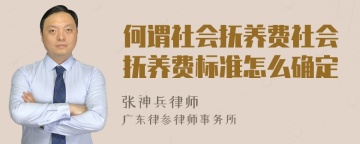 何谓社会抚养费社会抚养费标准怎么确定