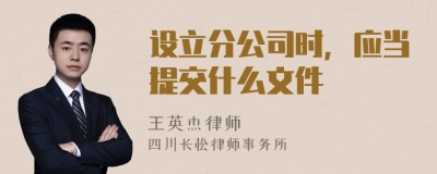 设立分公司时，应当提交什么文件