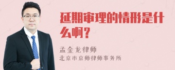 延期审理的情形是什么啊？