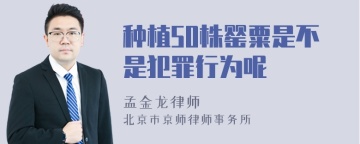 种植50株罂粟是不是犯罪行为呢