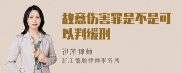 故意伤害罪是不是可以判缓刑