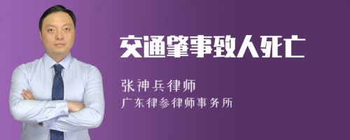 交通肇事致人死亡