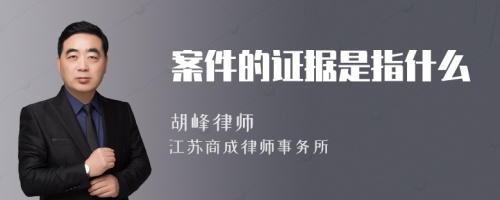 案件的证据是指什么