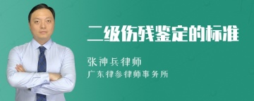 二级伤残鉴定的标准