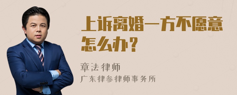 上诉离婚一方不愿意怎么办？