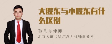 大股东与小股东有什么区别