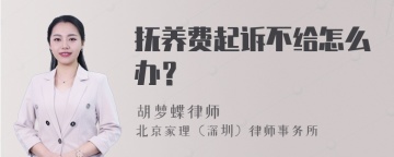 抚养费起诉不给怎么办？