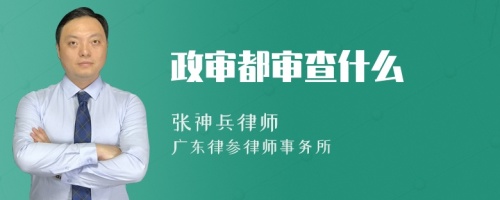 政审都审查什么