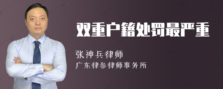 双重户籍处罚最严重