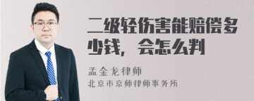 二级轻伤害能赔偿多少钱，会怎么判