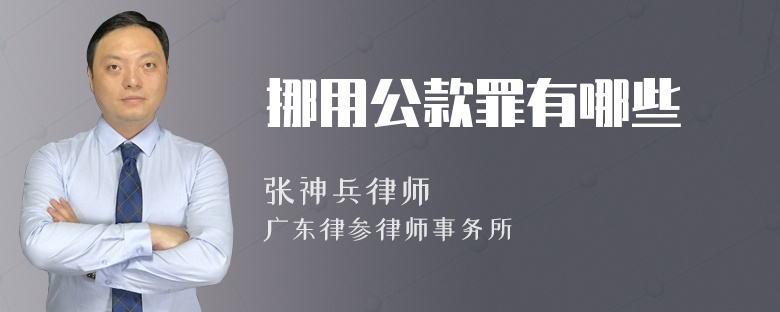 挪用公款罪有哪些