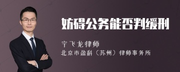 妨碍公务能否判缓刑