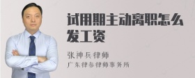 试用期主动离职怎么发工资