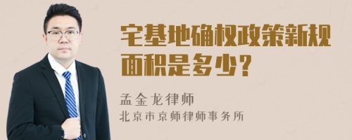 宅基地确权政策新规面积是多少？