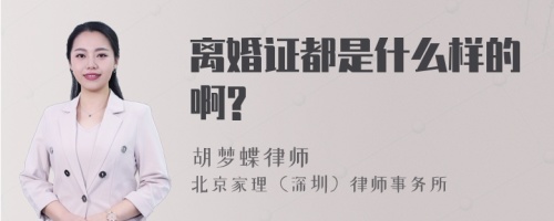 离婚证都是什么样的啊?