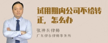 试用期内公司不给转正，怎么办