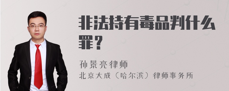 非法持有毒品判什么罪？