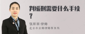 判缓刑需要什么手续？