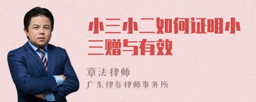 小三小二如何证明小三赠与有效