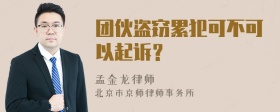 团伙盗窃累犯可不可以起诉？