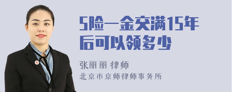 5险一金交满15年后可以领多少