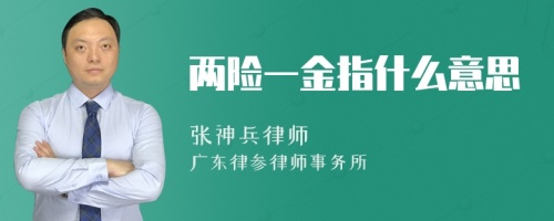 两险一金指什么意思