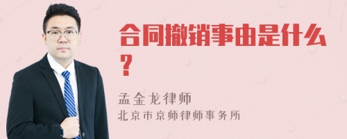 合同撤销事由是什么？