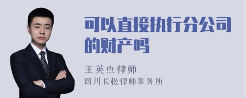 可以直接执行分公司的财产吗