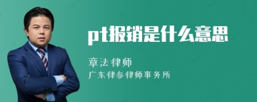 pt报销是什么意思