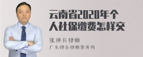 云南省2020年个人社保缴费怎样交