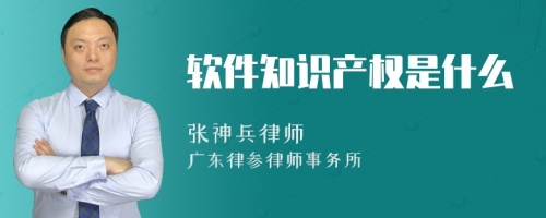 软件知识产权是什么