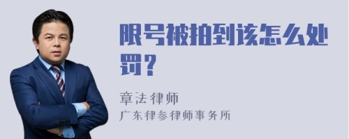 限号被拍到该怎么处罚？