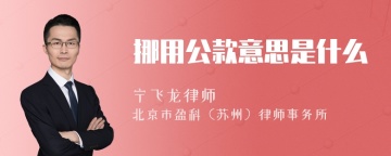 挪用公款意思是什么